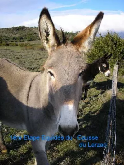 E1-PH-02-2005